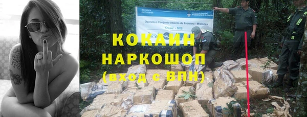 тгк Мегион