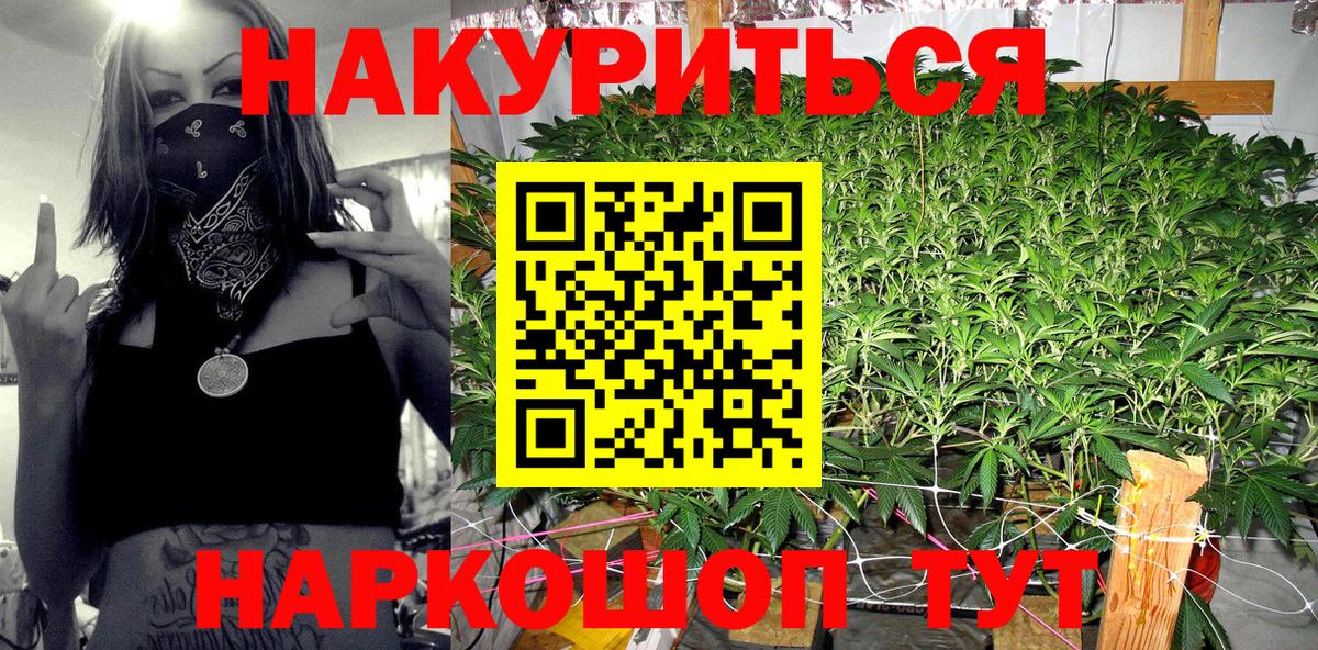 Псков  Каннабис гибрид  Каннабис OG Kush  Вход с VPN 